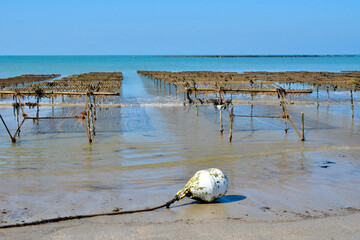 syst&egrave;me de capture de larves de moules pour les enrouler sur un bouchot