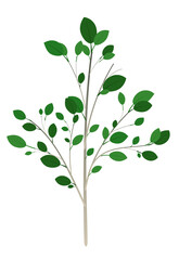 Green isolated twigs with bright green new sprouted leaves. Simple illustration on a white background. Creative element for nature themed brochures, games or other uses. Spring or summer enviromental.