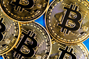 Fototapeta na wymiar Group of bitcoin coins isolated on blue background. Crypto currency, bitcoin. BTC, Bit Coin. Blockchain technology, mining