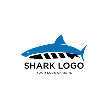 Shark Creative Logo Design Vector