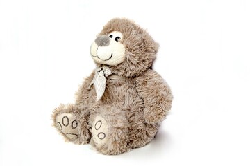 Lovely brown bear doll isolated on white background. Adorable teddy bear for decorative.