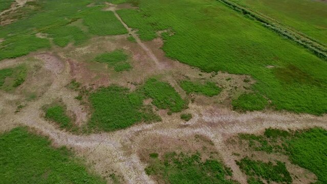 Long shot with big reveal of Polish nature reserve "Beka".