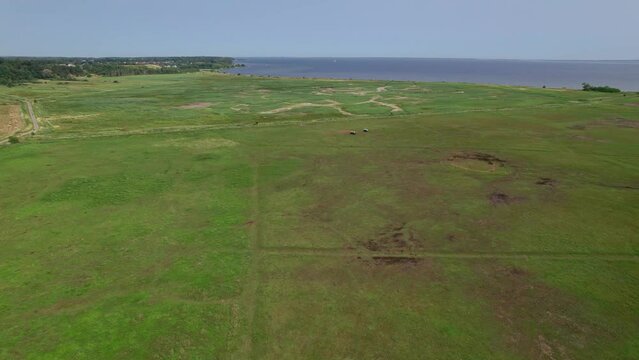 Long shot - flying over Polish nature reserve "Beka".