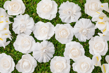 White Bed Flowers background on green meadow
