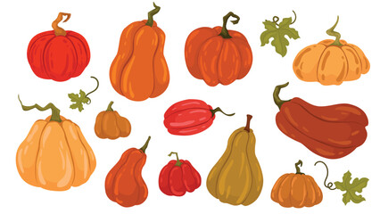Set flat drawn pumpkins autumn collection.