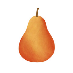 Orange Yellow Pear Watercolor Illustration