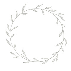 Tropical leaves of hand drawn line art modern style. png illustrations.