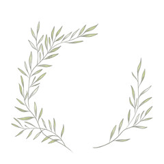 Botanical elegant frame with hand drawn. delicate hand drawn elements, minimalist modern style. png illustrations