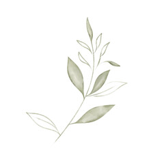 green leaves isolated on white background