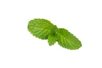Mint leaf isolated on transparent background.