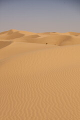 Sand dunes at the Sahara African deserts, Algeria.