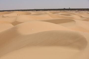 The Sahara desert shows the dunes and beautiful curves and patterns created by nature. Algeria. 