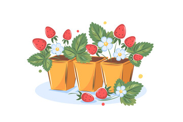 Strawberries in boxes. Gardening and growing plants concept. Vector illustration