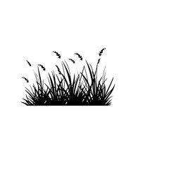 grass silhouette illustration 
