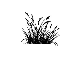 grass silhouette illustration 