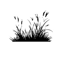 grass silhouette illustration 