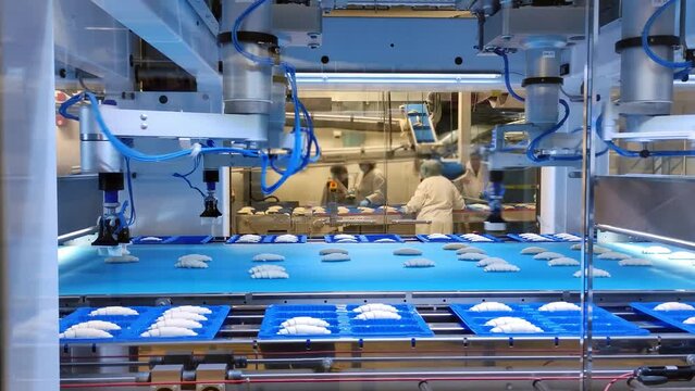 A modern factory uses automated machinery to produce croissants. Automated machinery avoids unsanitary conditions in the production of croissants. Concept Entrust all the work to automated machinery.