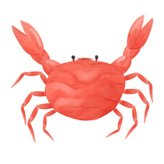 steamed crab on the beach hand draw