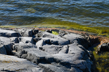 Seashore in summer in the archipelago in Finland