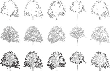 Tree elevation line silhouettes - oak tree - obrazy, fototapety, plakaty