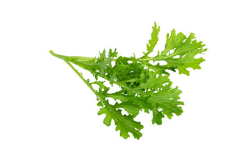Mustard Greens on transparent background.