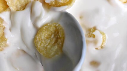 Spoon mixing multigrain yellow corn flakes with dairy yogurt healthy morning food closeup macro shot - Powered by Adobe