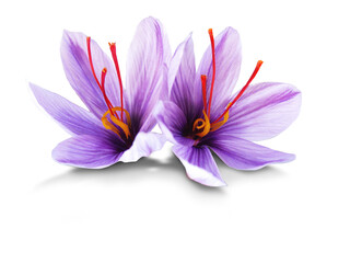 Saffron is a spice derived from the flower of Crocus sativus, commonly known as the 