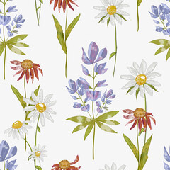 Fototapeta na wymiar Trendy seamless floral textile print. Aerial flora pattern. Summer wildflowers chamomiles seamless background. Vector, hand drawing