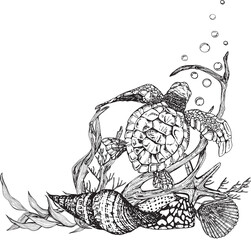 Marine composition sea turtle in algae, snags with shells bubbles. Black and white hand-drawn graphics translated into vector. The illustration is intended for  prints, stickers, posters, postcards