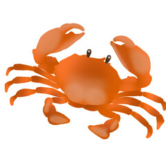 set of crab © Maythanee