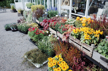 scene of the European plants nursery