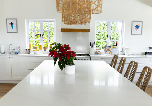 Chairs seated at large white island with red flowers in sunny white kitchen with windows to garden