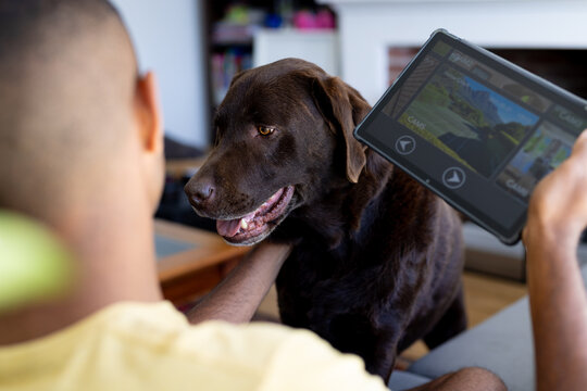 Biracial man petting dog in living room, holding tablet with home security camera views on screen