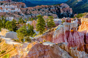 beautiful landscape in Bryce Canyon with magnificent Stone formation