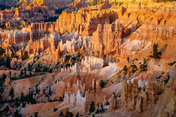 landscape in Bryce Canyon with magnificent Stone formation like Amphitheater, temples, figures in Morning light