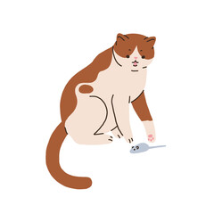 Cute cat playing with toy mouse. Funny amusing kitty. Playful feline animal. Adorable lovely sweet pussycat hunter. Flat vector illustration isolated on white background
