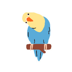 Lovebird, cute small parrot. Exotic tropical birdie sitting on perch. Funny adorable amusing little bird with bicolor plumage. Flat vector illustration isolated on white background