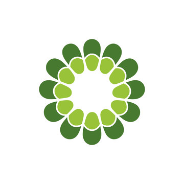 simple geometric eco nature plants logo vector illustration template design