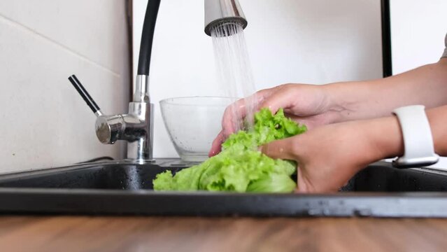Womans hands wash green salads  leaves under the water on kitchen. Top view  