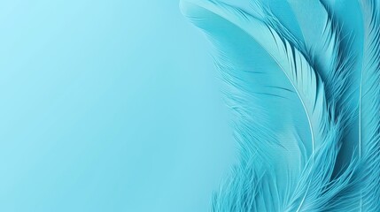 Fototapeta na wymiar Cerulean Feather Design. Creative Festive Concept with Turquoise Glamour Layout on Sky Blue Feather Background, White Card for Custom Design. Minimalistic Celebration Glamour: Generative AI
