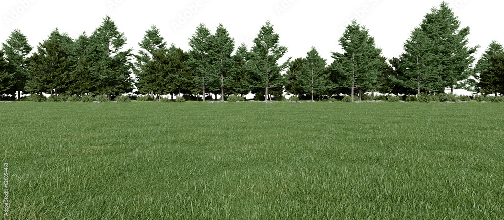 Fototapete realistic meadow and forest tree line. 3d rendering of isolated objects.