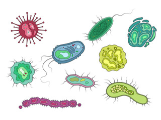 Bacteria and microorganisms diagram schematic vector illustration. Medical science educational illustration