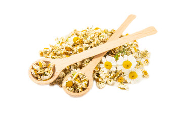 Dried chamomile tea in wooden spoons isolated on white background.dry chamomile. Chamomile tea.