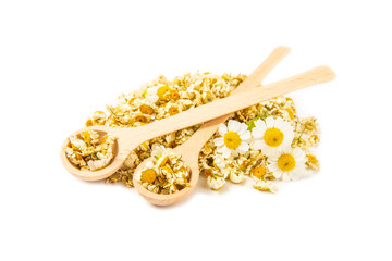 Dried chamomile tea in wooden spoons isolated on white background.dry chamomile. Chamomile tea.