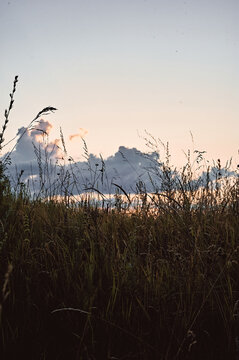 Sunset over the field, siluet of field grass with sunset clouds, toned with moody filters, processed film grains