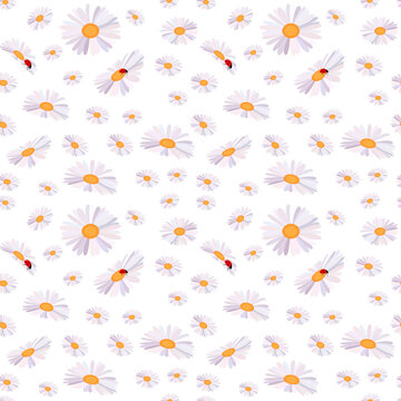 Chamomile flowers seamless pattern.