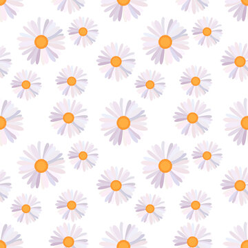 Chamomile flowers seamless pattern.