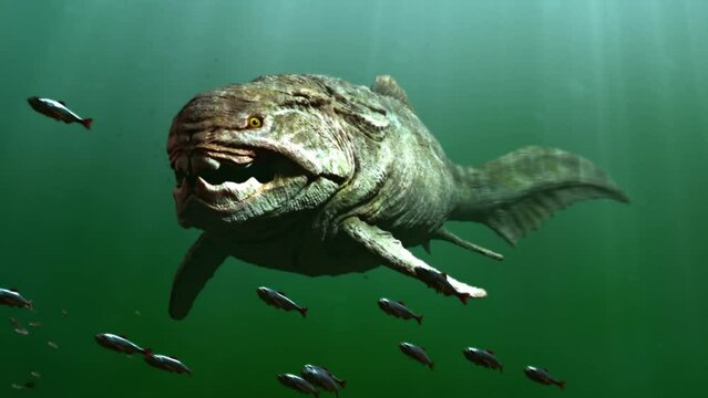 Dunkleosteus Images Browse 362 Stock Photos Vectors And Video Dunkleosteus Images Browse 362 Stock Photos Vectors And Video