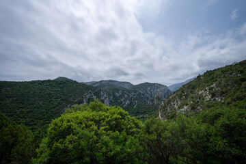 Zielone nabrzeże wyspy Sardynia, zielona roślinność, piękny widok, skały,  © Arkadiusz