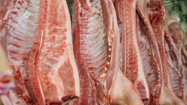 Hanging in rows fresh meat pig carcasses in slaughterhouse in meat shop of food plant. Manufacturing meat products on industrial food factory. Industrial fridge in butchery on production meat shop.